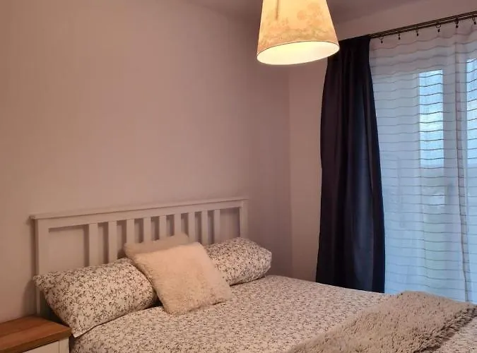 Chronos - Modern And Stylish * ティミショアラ